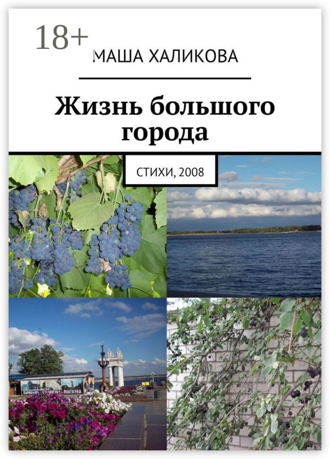Обложка книги «Жизнь большого города. Стихи, 2008»