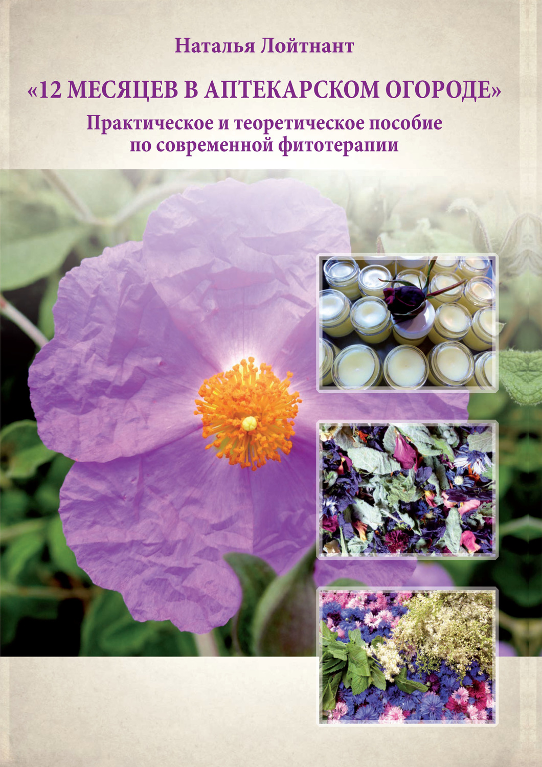 Обложка книги «12 месяцев в аптекарском огороде»