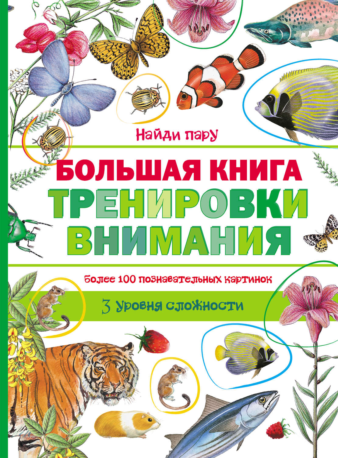 Обложка книги «Большая книга тренировки внимания»
