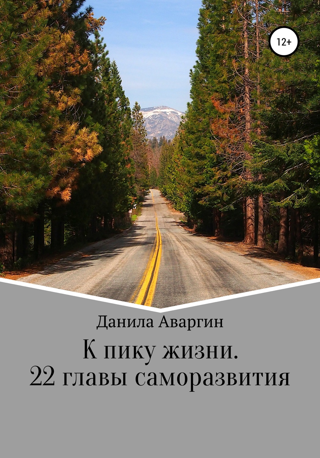 Обложка книги «К пику жизни. 22 главы саморазвития»