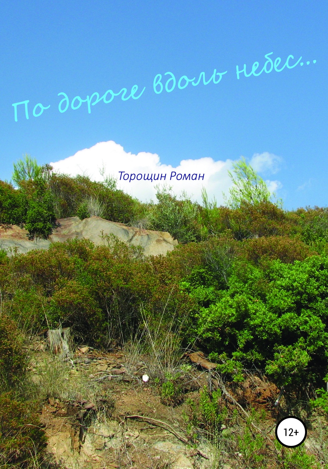 Обложка книги «По дороге вдоль небес»