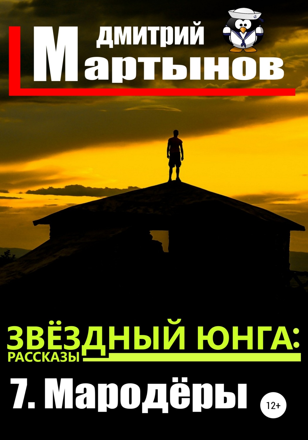 Обложка книги «Звёздный юнга: 7. Мародёры»