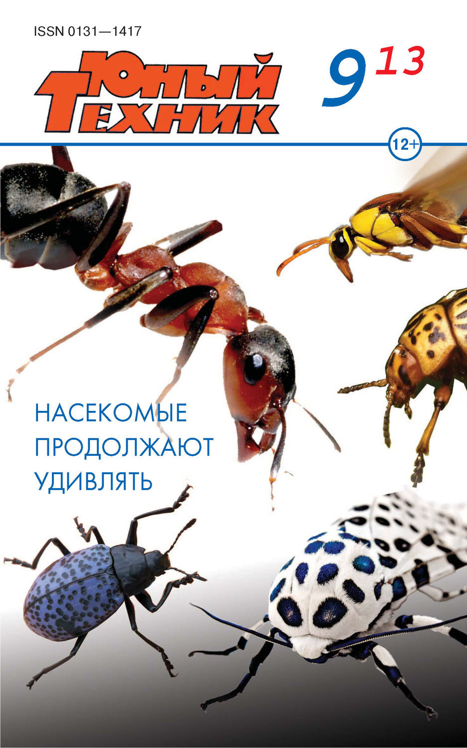 Обложка книги «Юный техник №09/2013»