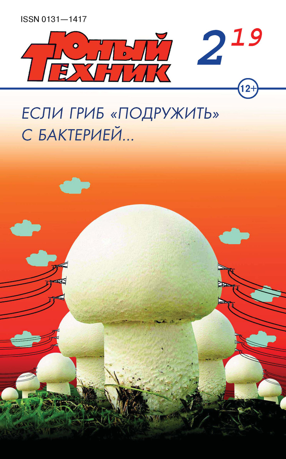 Обложка книги «Юный техник №02/2019»