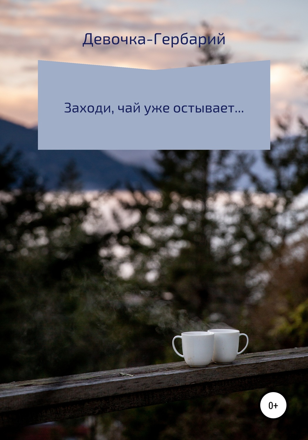 Обложка книги «Заходи, чай уже остывает…»
