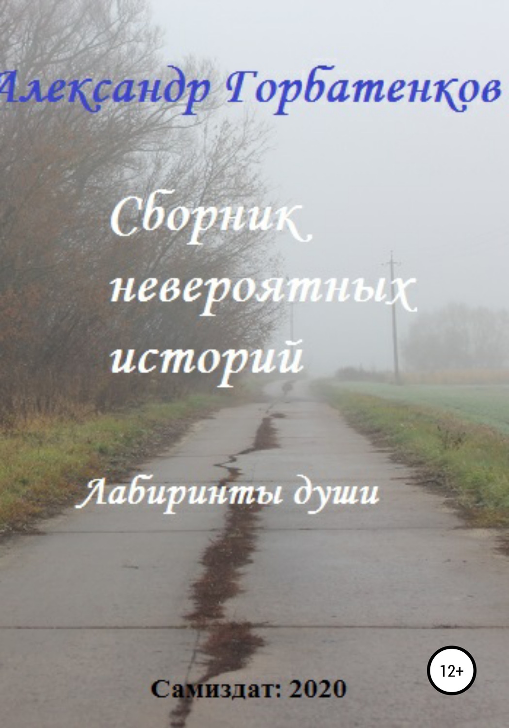 Обложка книги «Сборник невероятных историй»