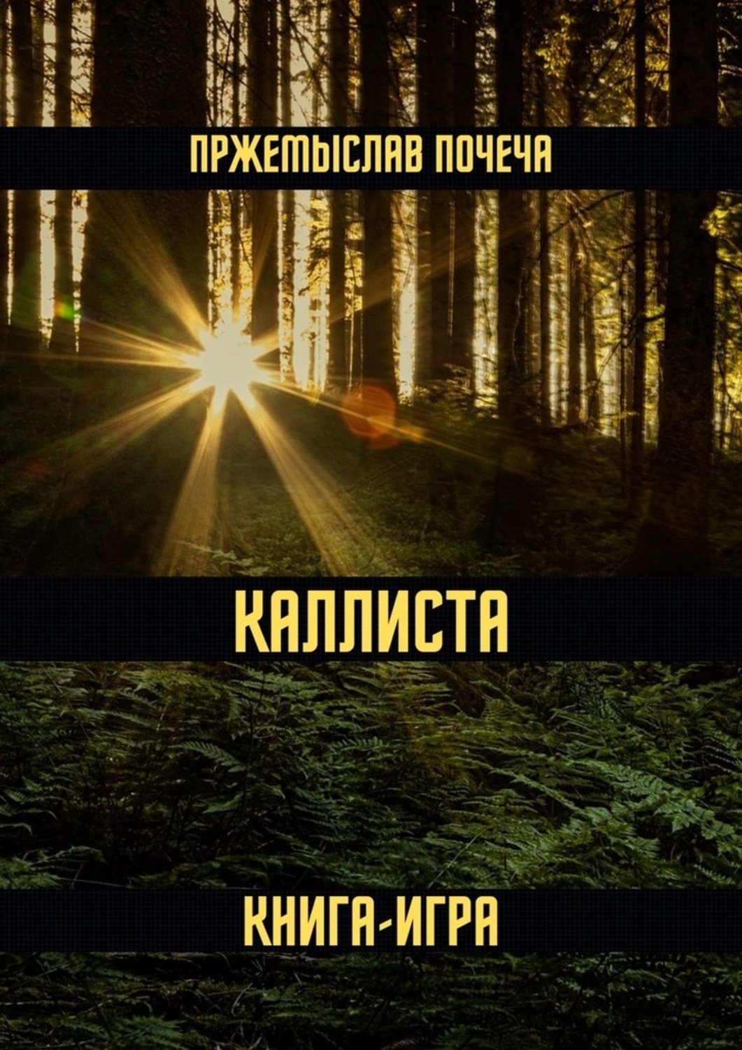 Обложка книги «Каллиста. Книга-игра»