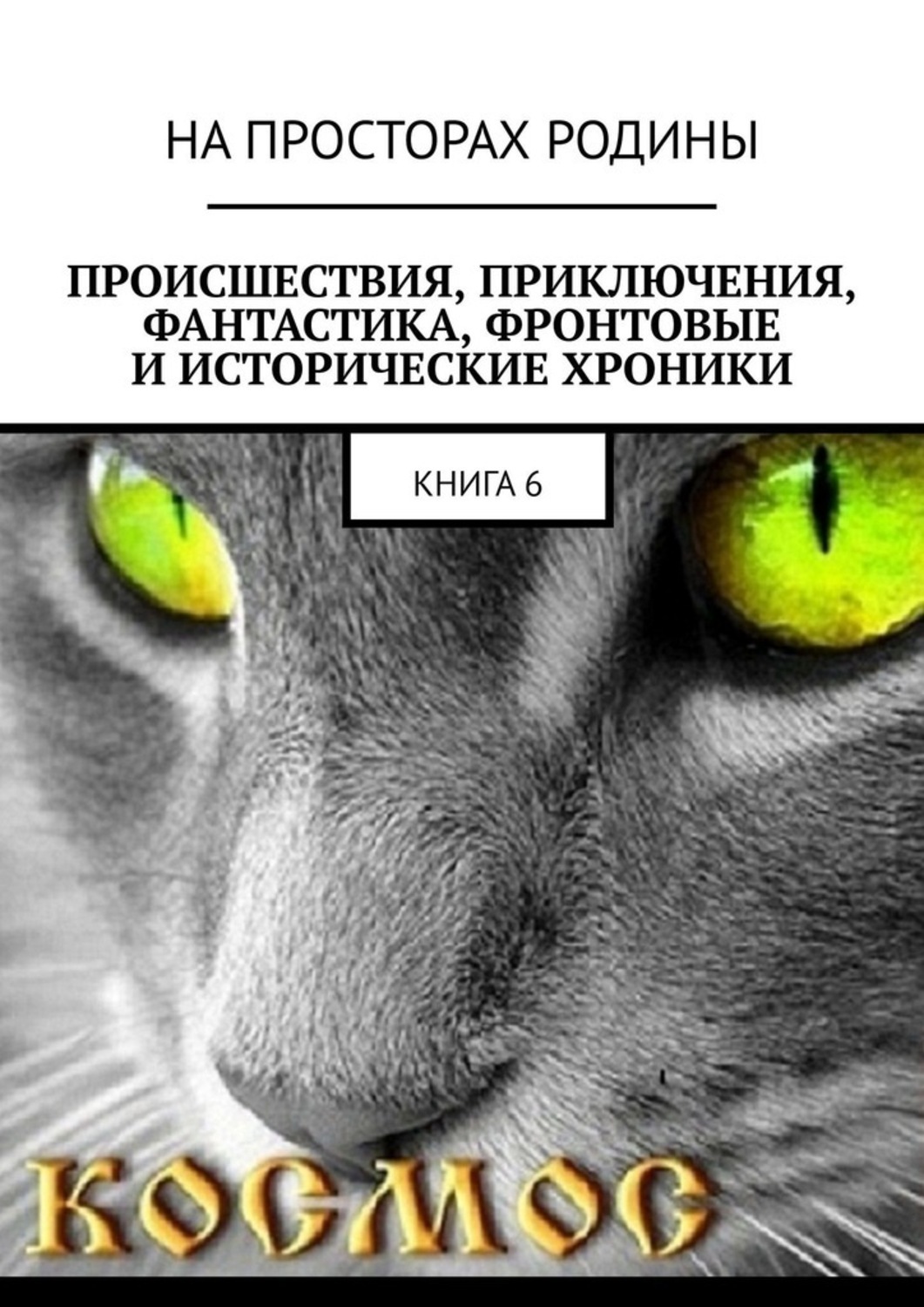 Обложка книги «Происшествия, приключения, фантастика, фронтовые и исторические хроники. Книга 6»