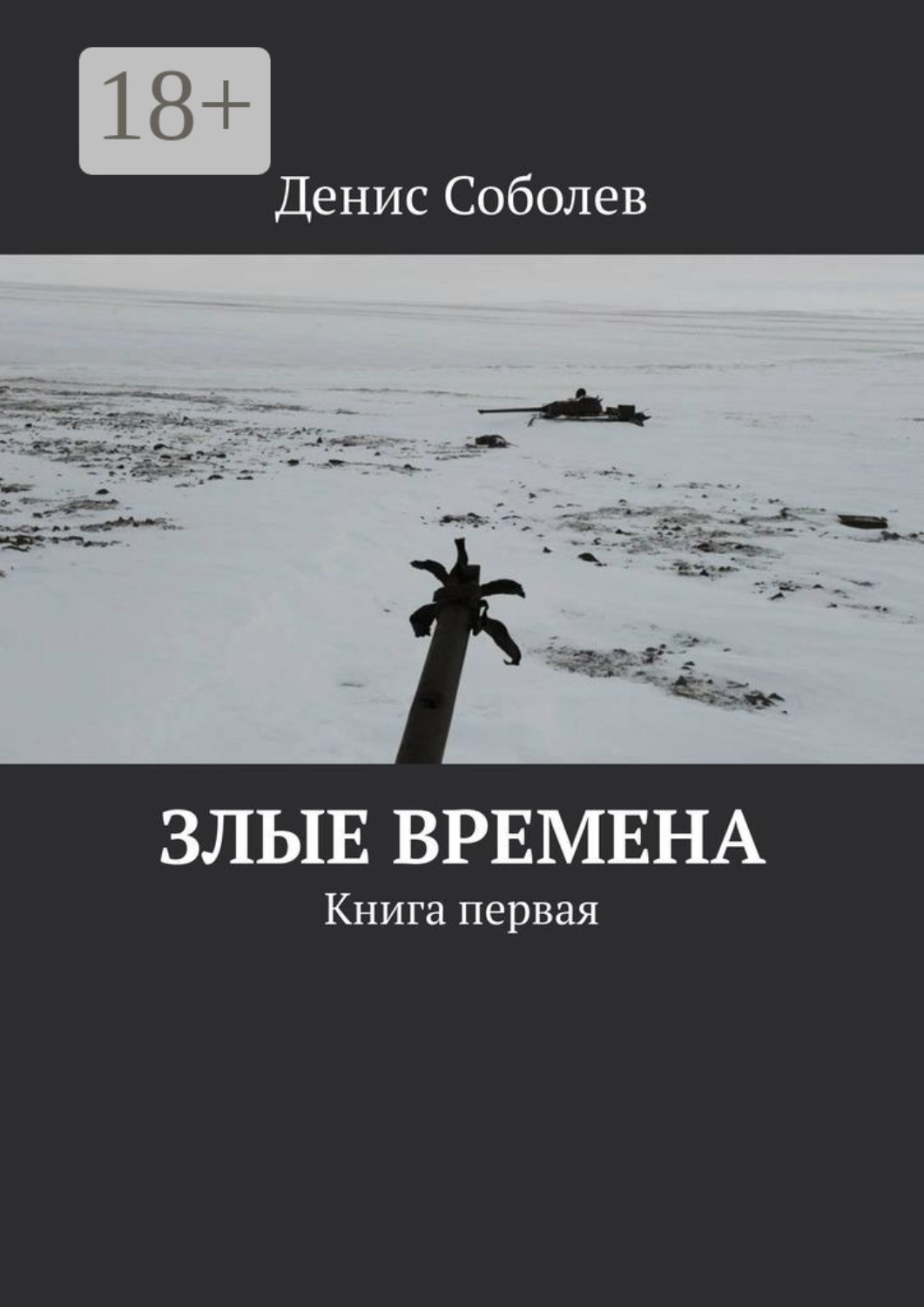 Обложка книги «Злые времена. Книга первая»