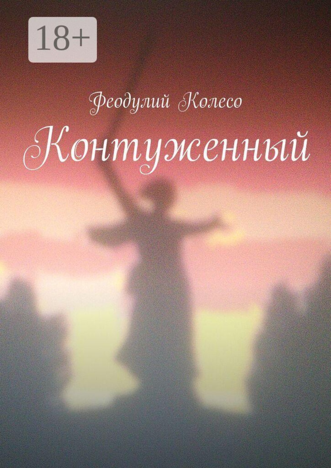 Обложка книги «Контуженный»