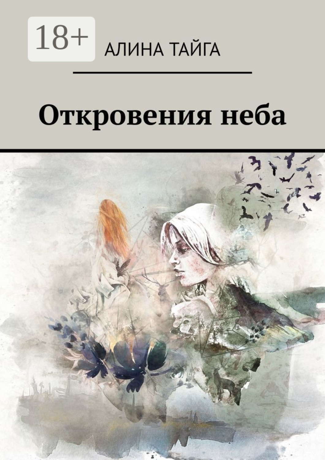 Обложка книги «Откровения неба»