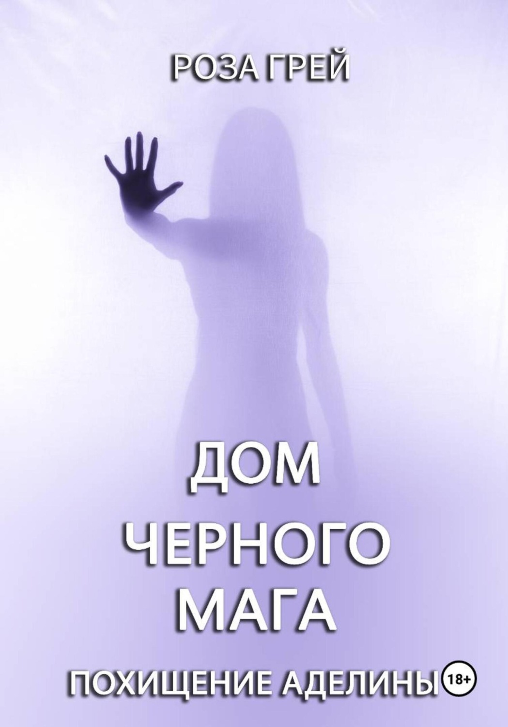 Обложка книги «Дом черного мага»