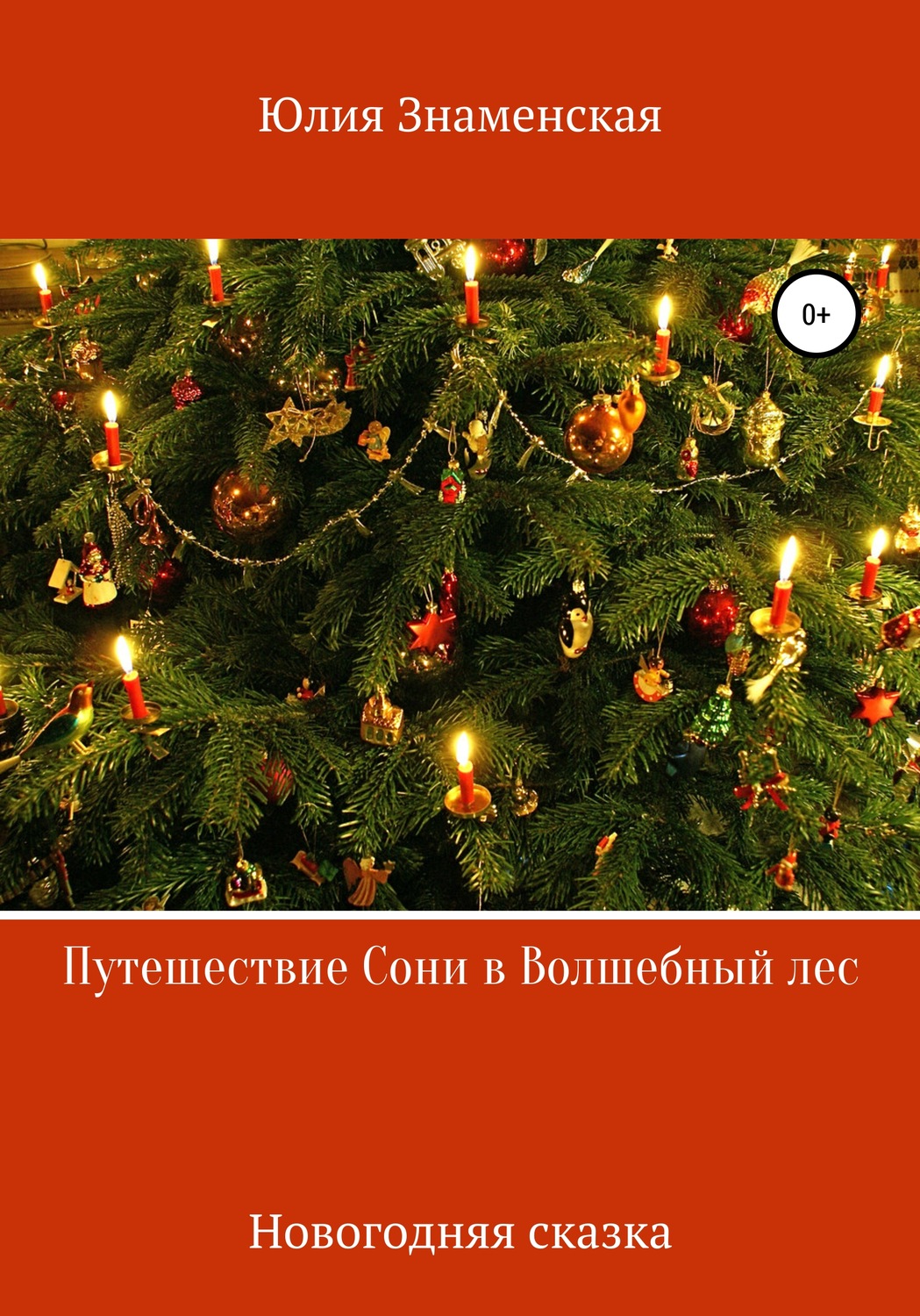 Обложка книги «Путешествие Сони в Волшебный лес»