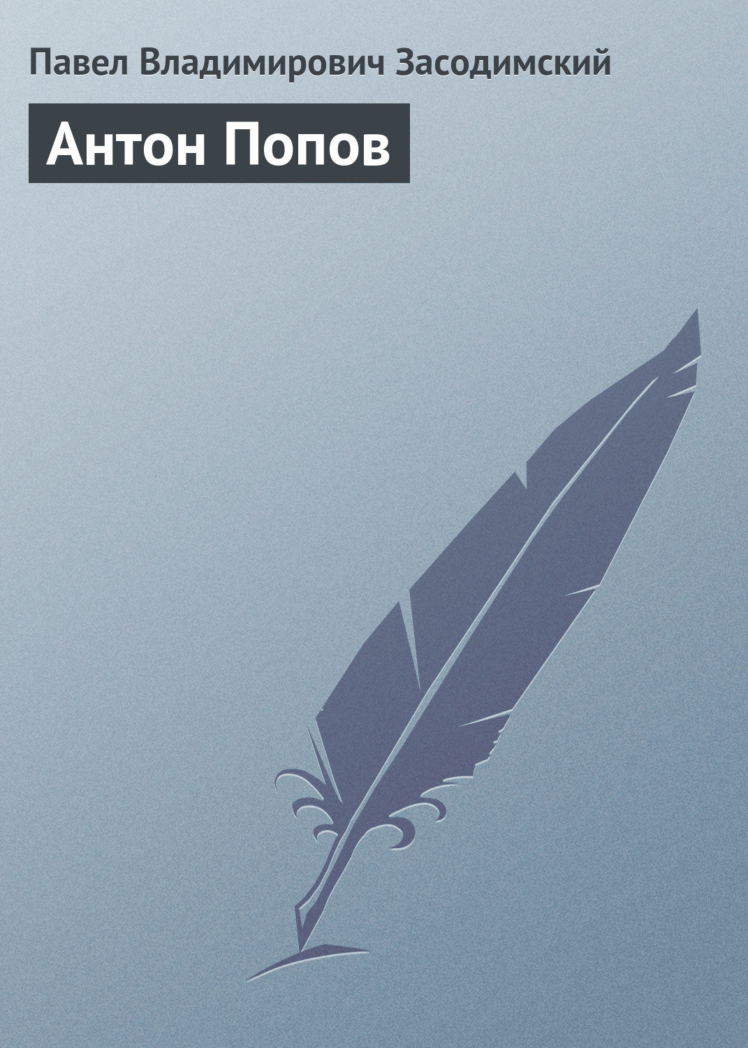 Обложка книги «Антон Попов»