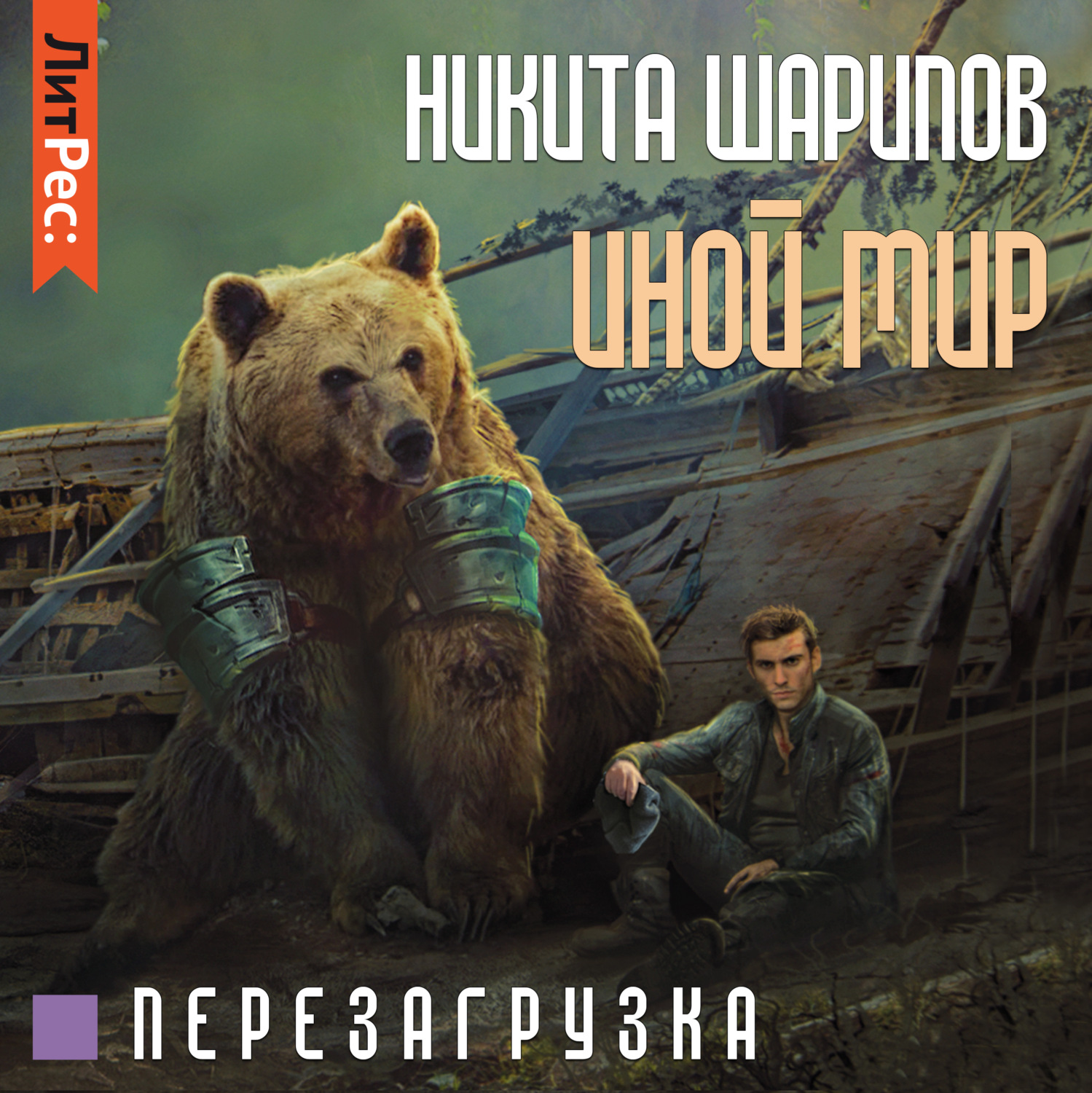 Обложка книги «Иной мир. Часть третья»