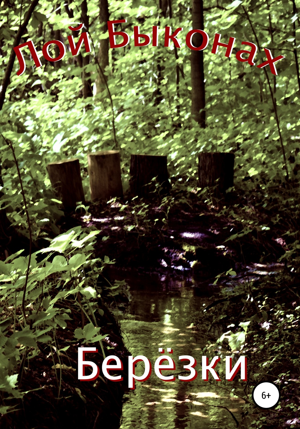 Обложка книги «Берёзки»