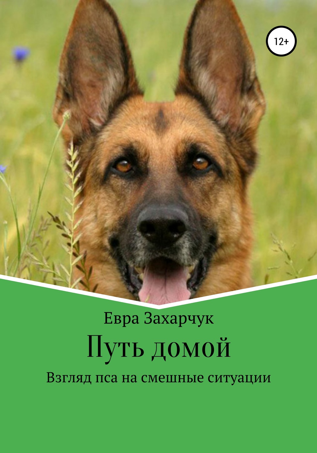 Обложка книги «Путь домой»
