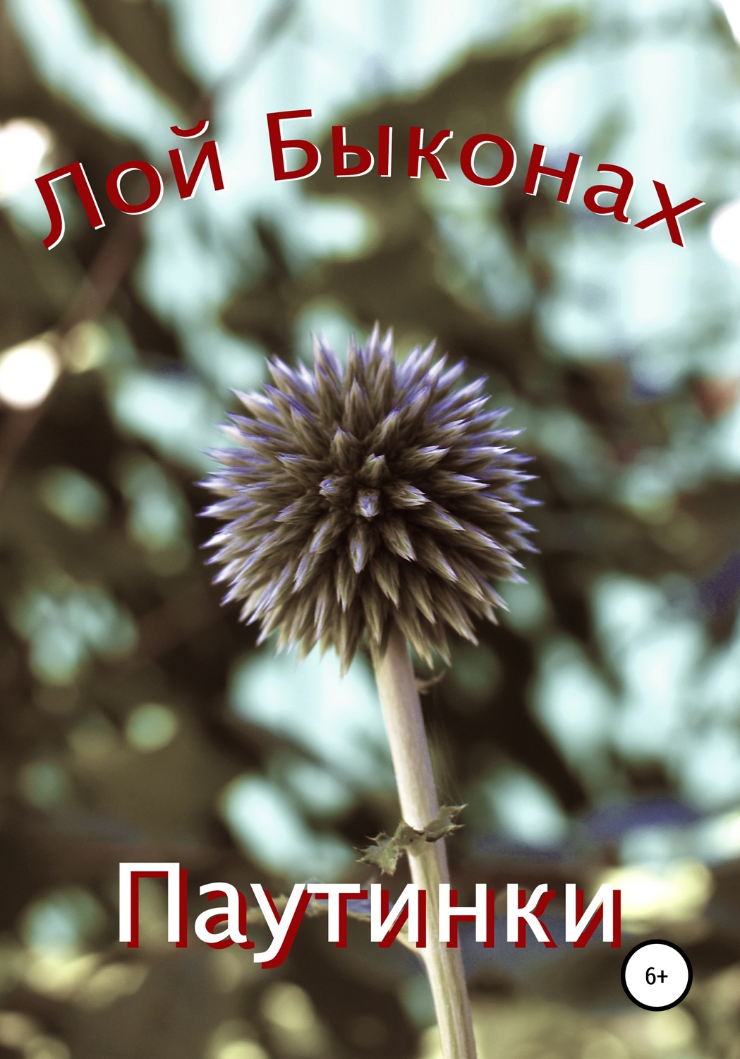 Обложка книги «Паутинки»