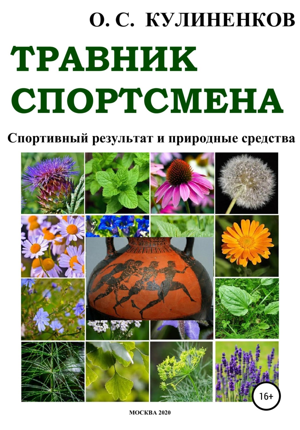 Обложка книги «Травник спортсмена. Спортивный результат и природные средства»