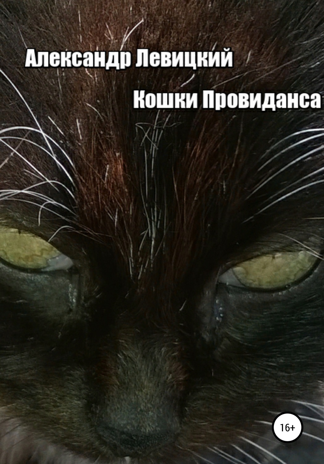 Обложка книги «Кошки Провиданса»