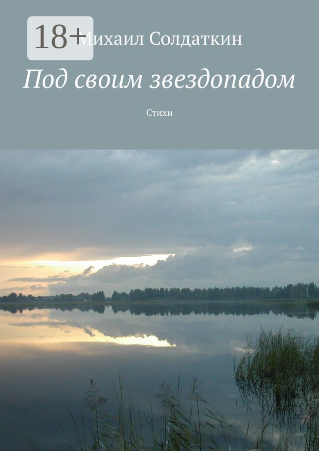 Обложка книги «Под своим звездопадом. Стихи»