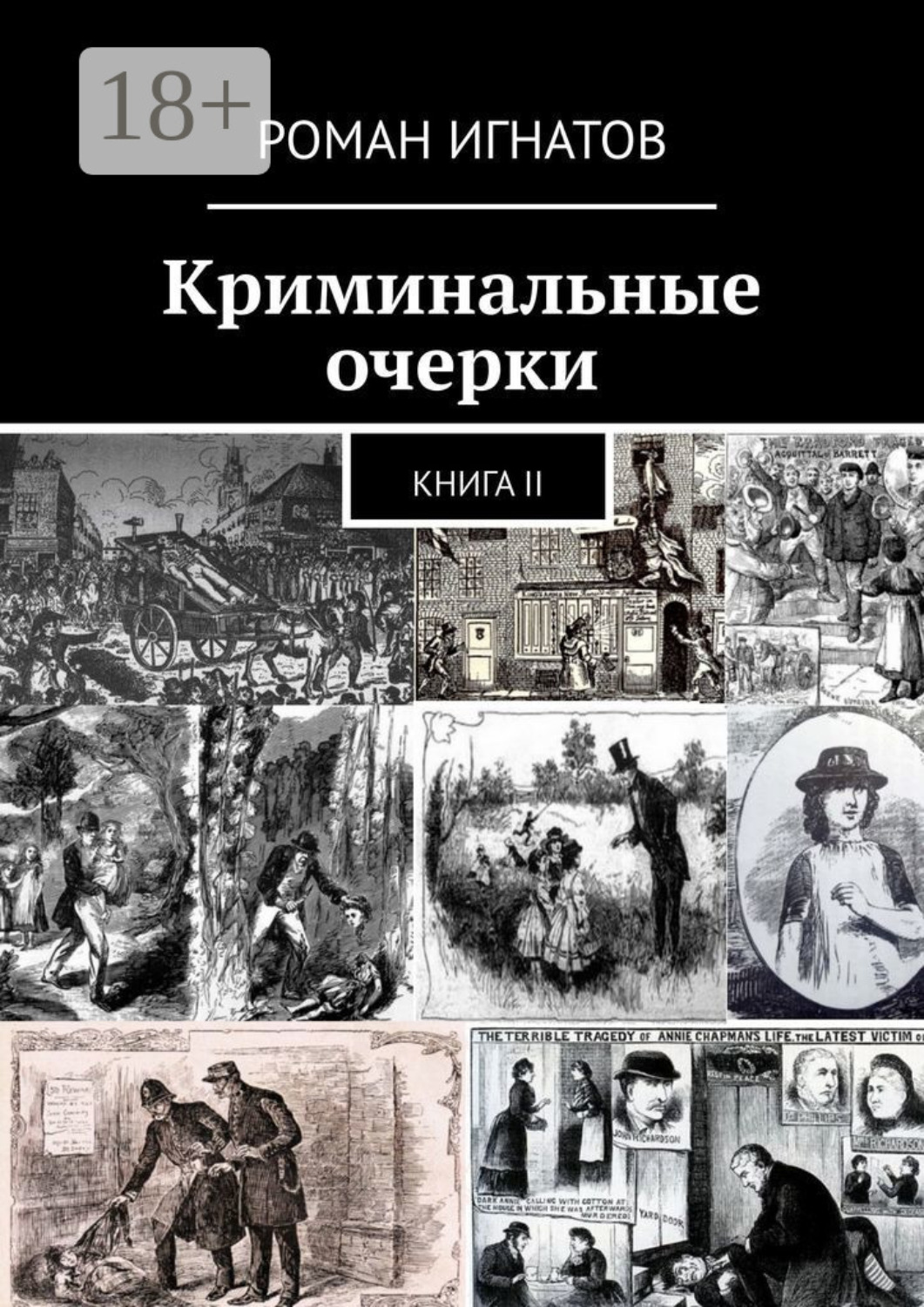 Обложка книги «Криминальные очерки. Книга II»