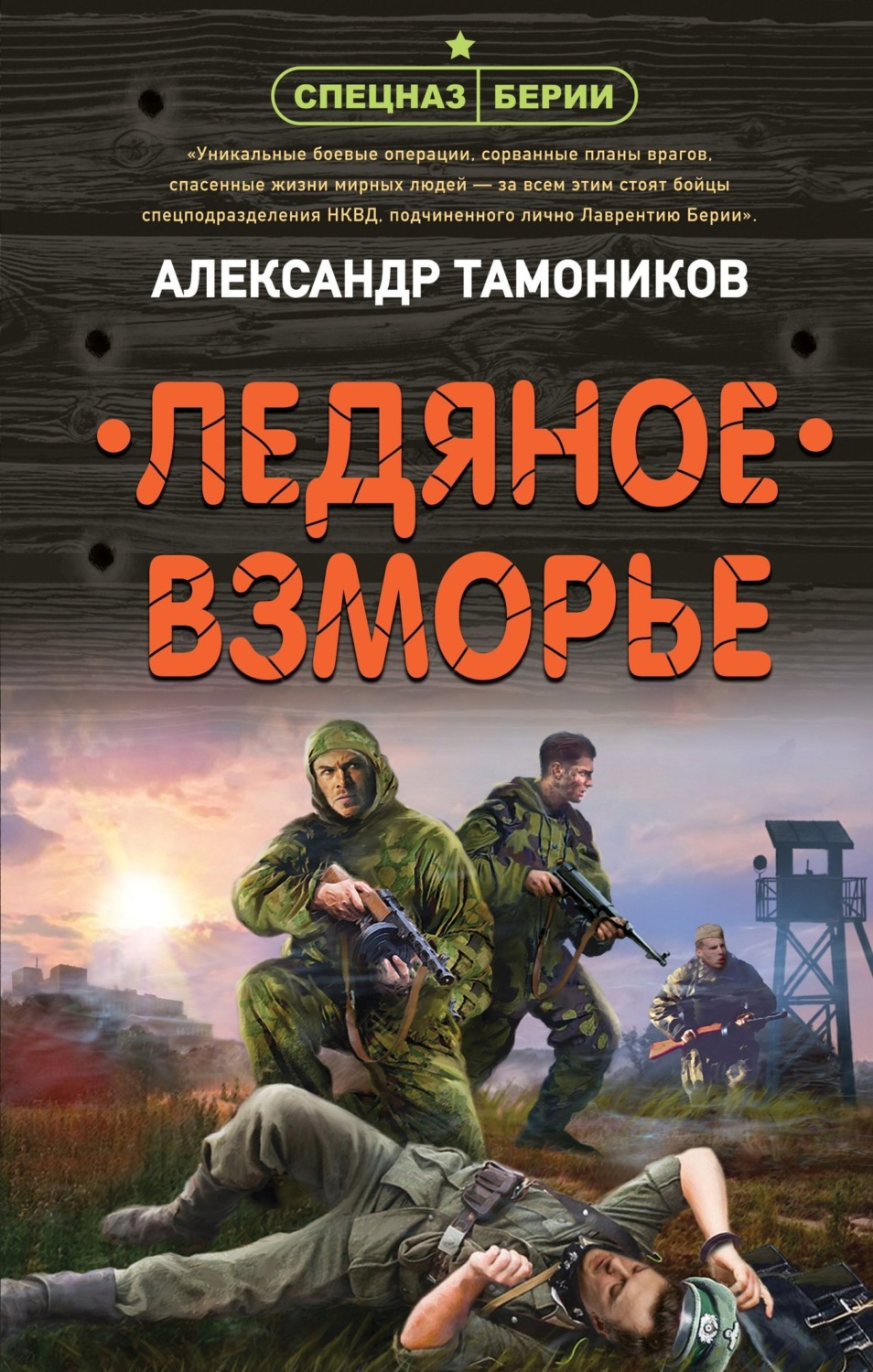 Обложка книги «Ледяное взморье»