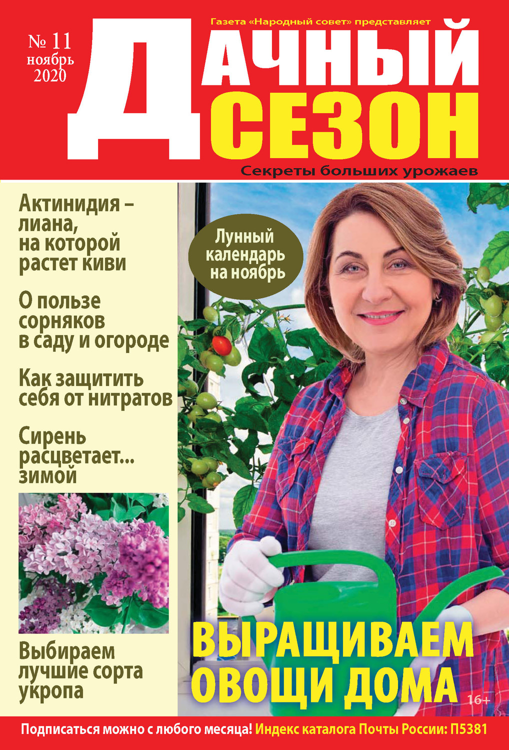 Обложка книги «Дачный сезон №11/2020»