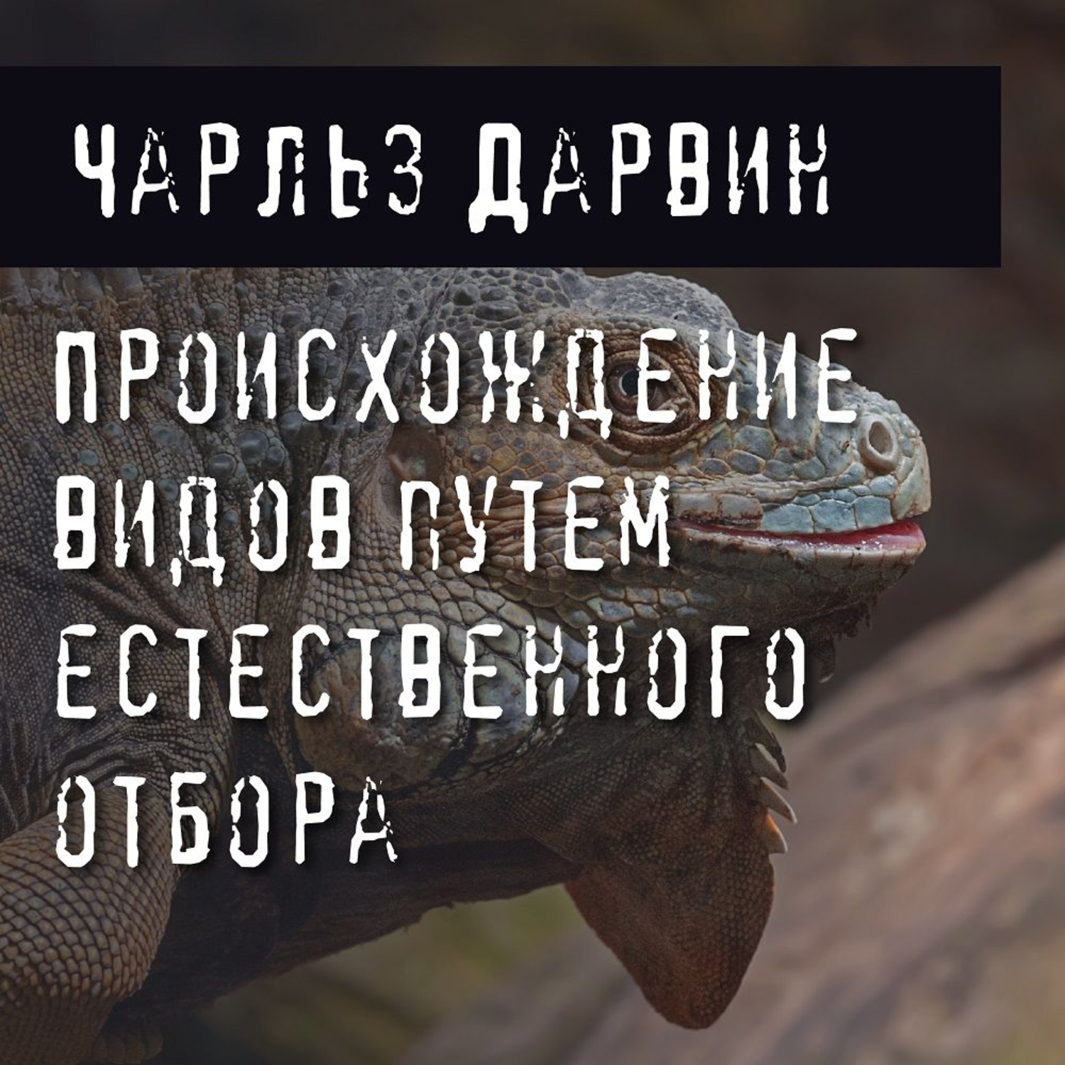Обложка книги «Происхождение видов путем естественного отбора»