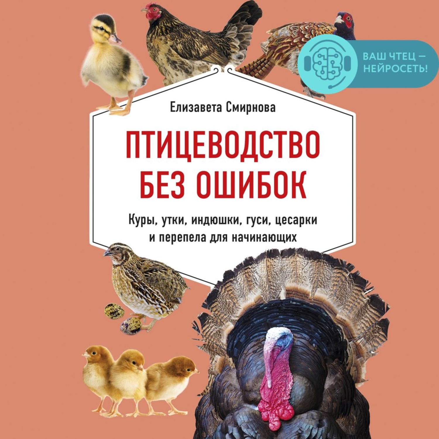 Обложка книги «Птицеводство без ошибок. Куры, утки, индюшки, гуси, цесарки и перепела для начинающих»