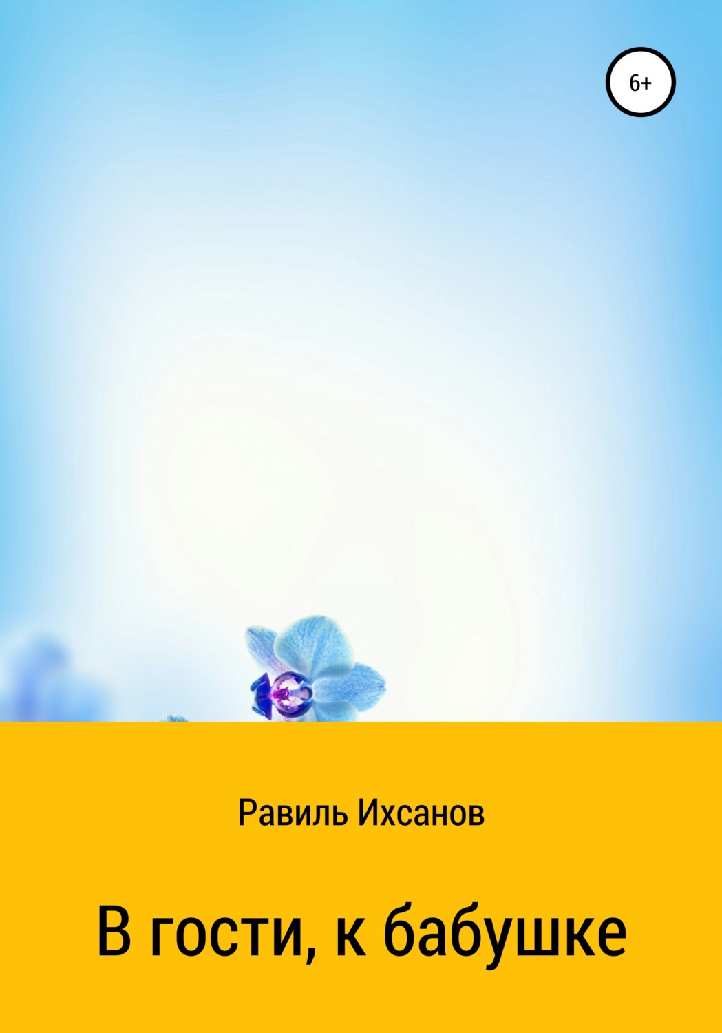 Обложка книги «В гости, к бабушке»
