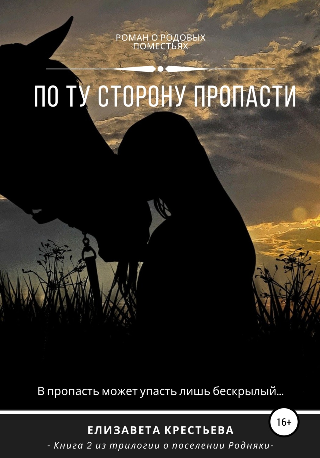 Обложка книги «По ту сторону пропасти»
