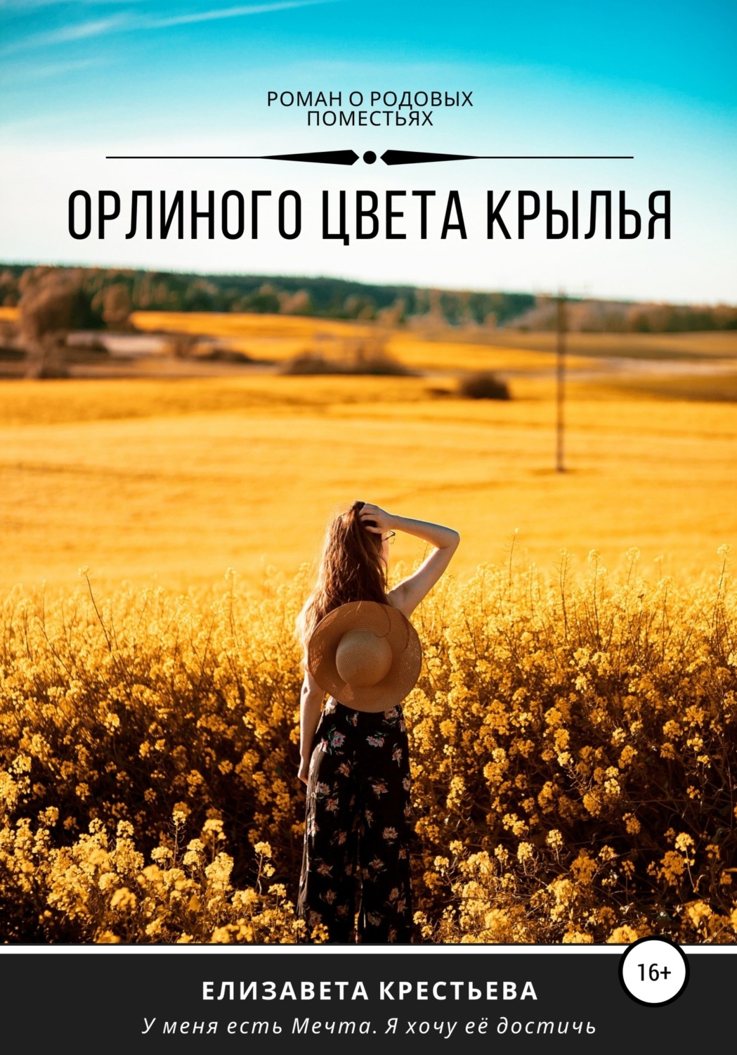 Обложка книги «Орлиного цвета крылья»