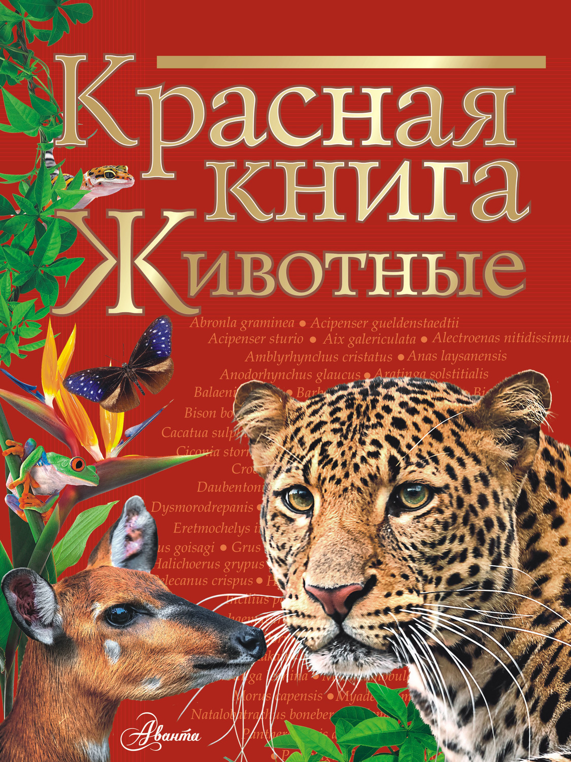 Обложка книги «Красная книга мира. Животные»