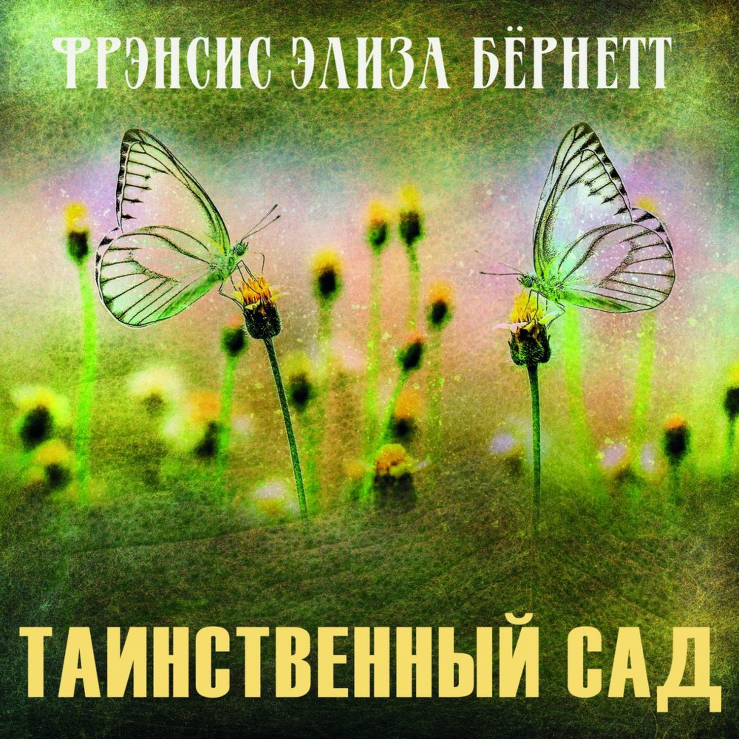 Обложка книги «Таинственный сад»