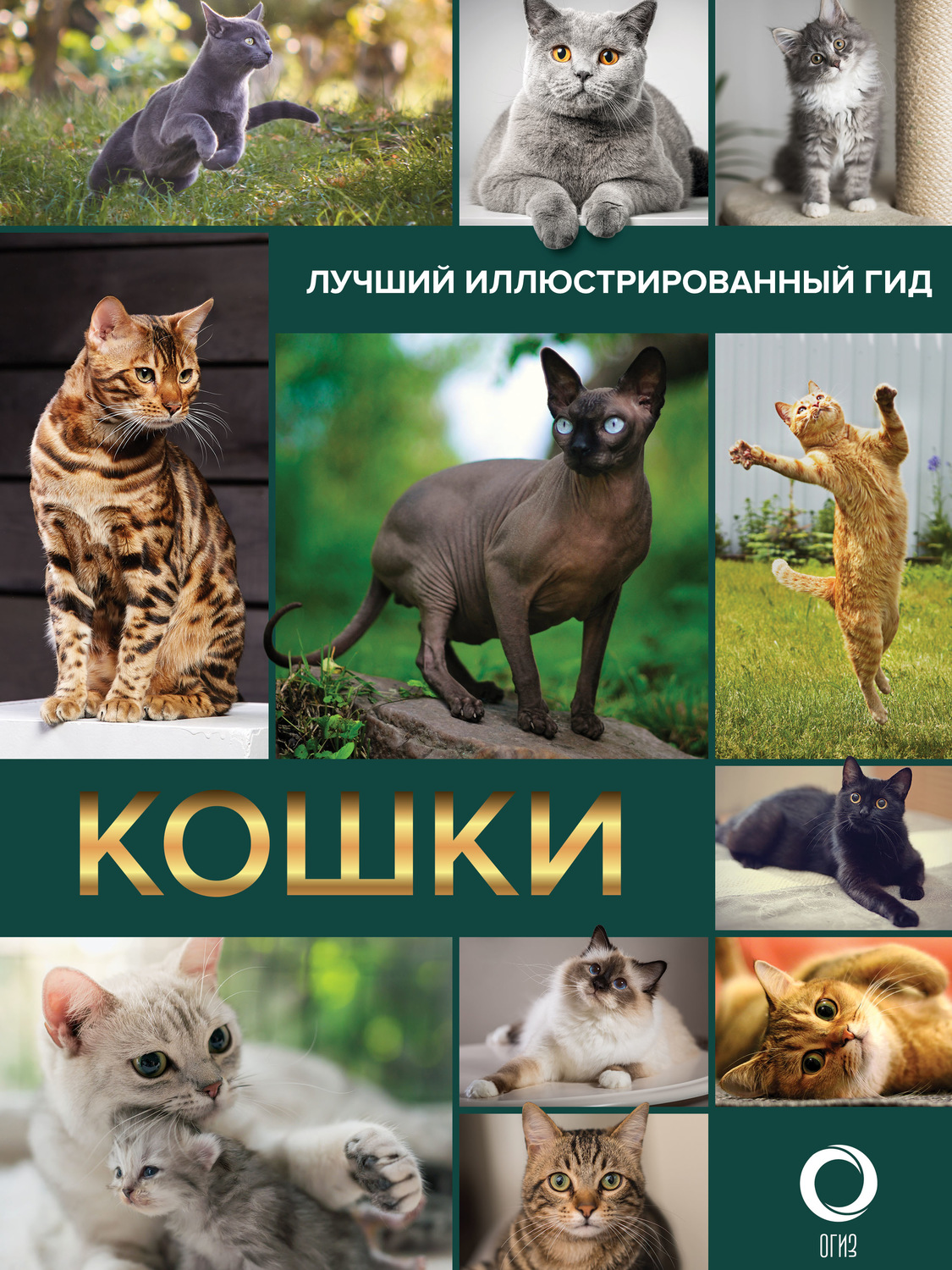 Обложка книги «Кошки»