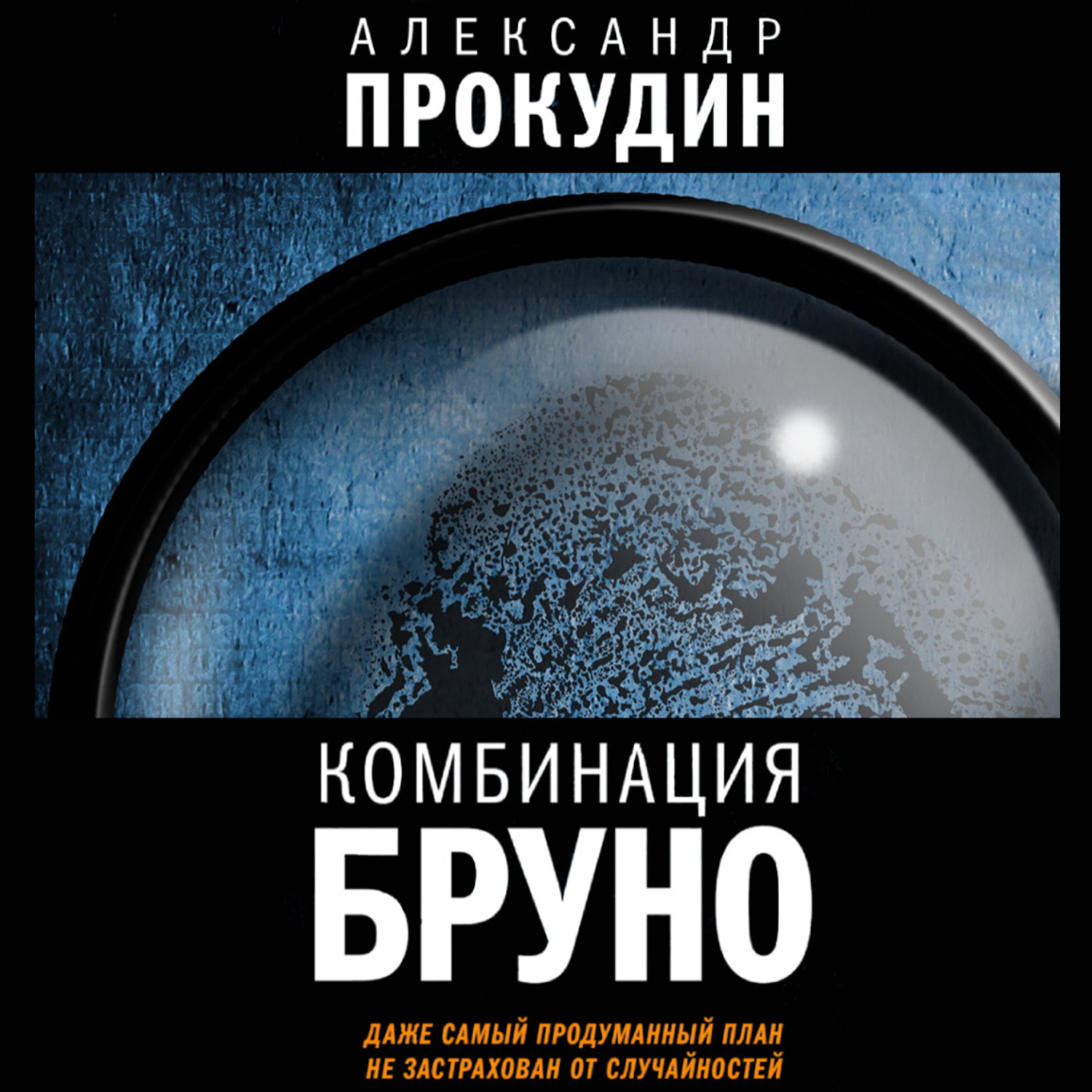 Обложка книги «Комбинация Бруно»