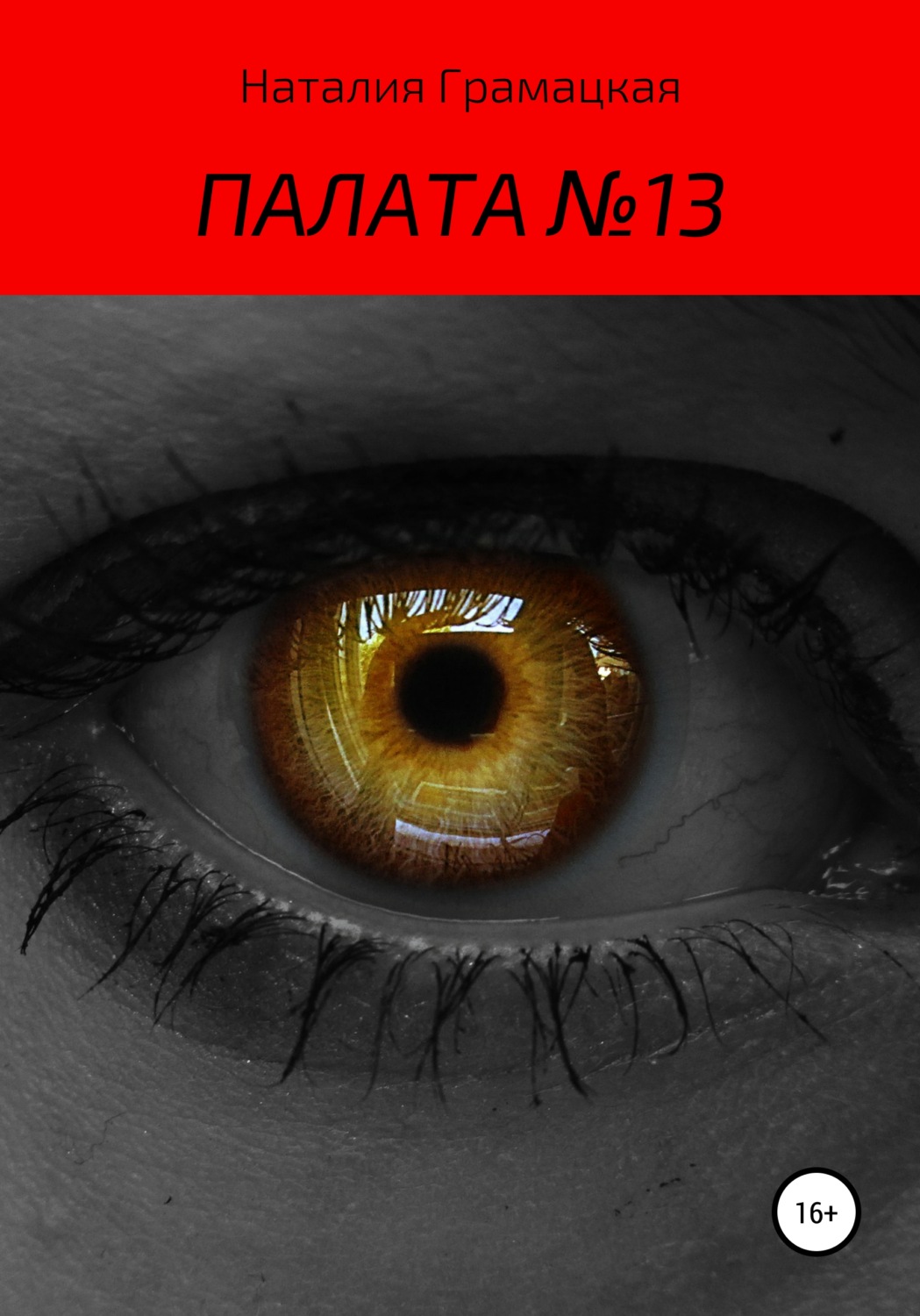 Обложка книги «Палата №13»