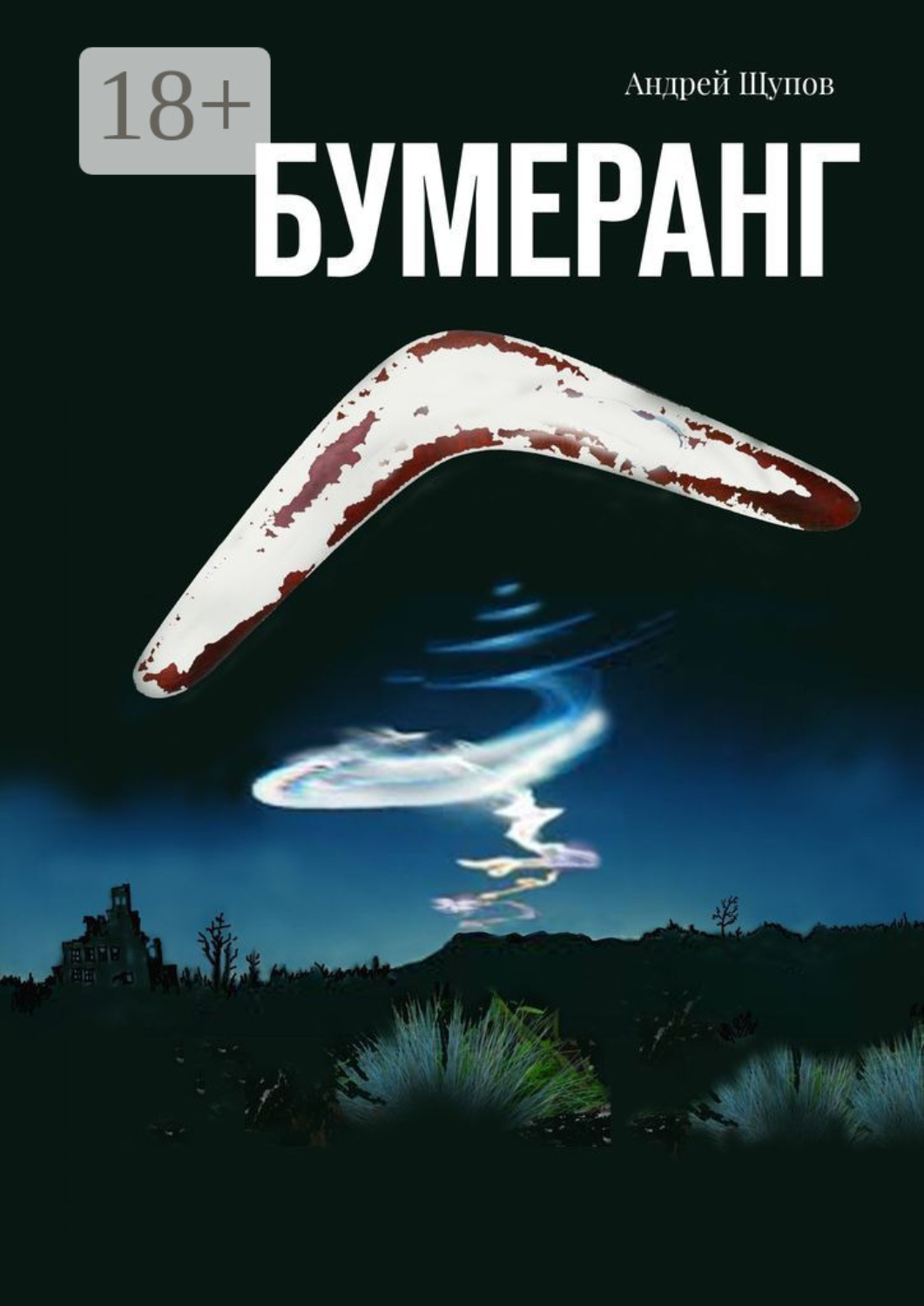 Обложка книги «Бумеранг»