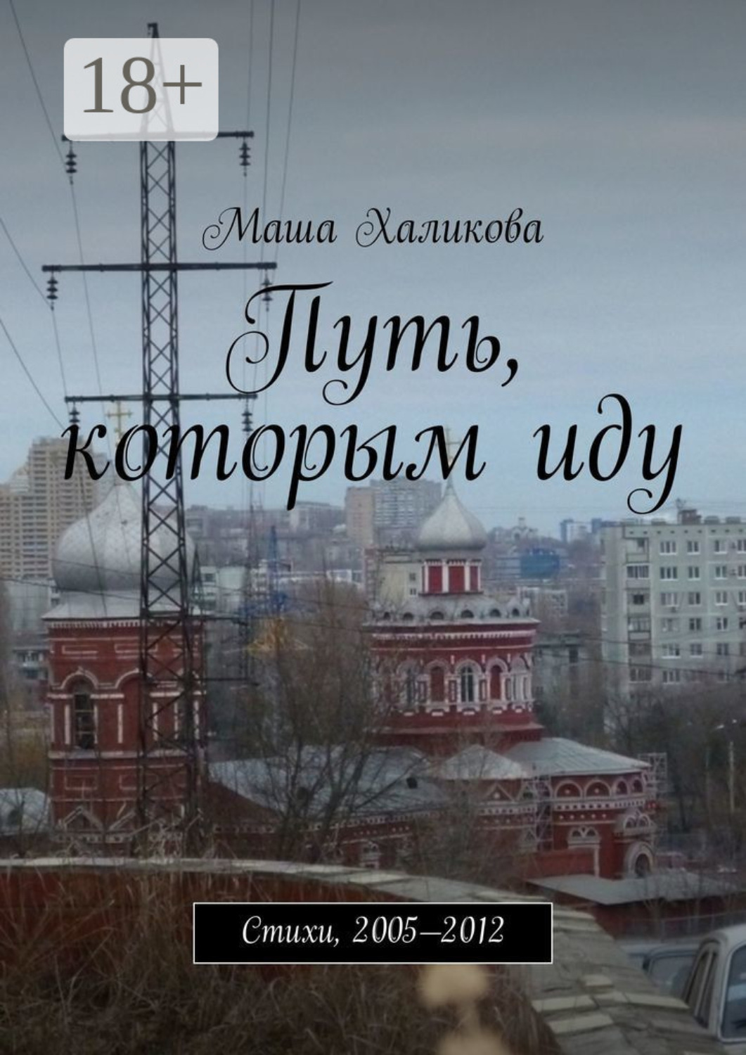 Обложка книги «Путь, которым иду. Стихи, 2005—2012»