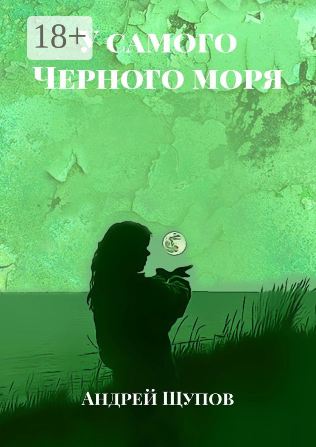 Обложка книги «У самого Черного моря»