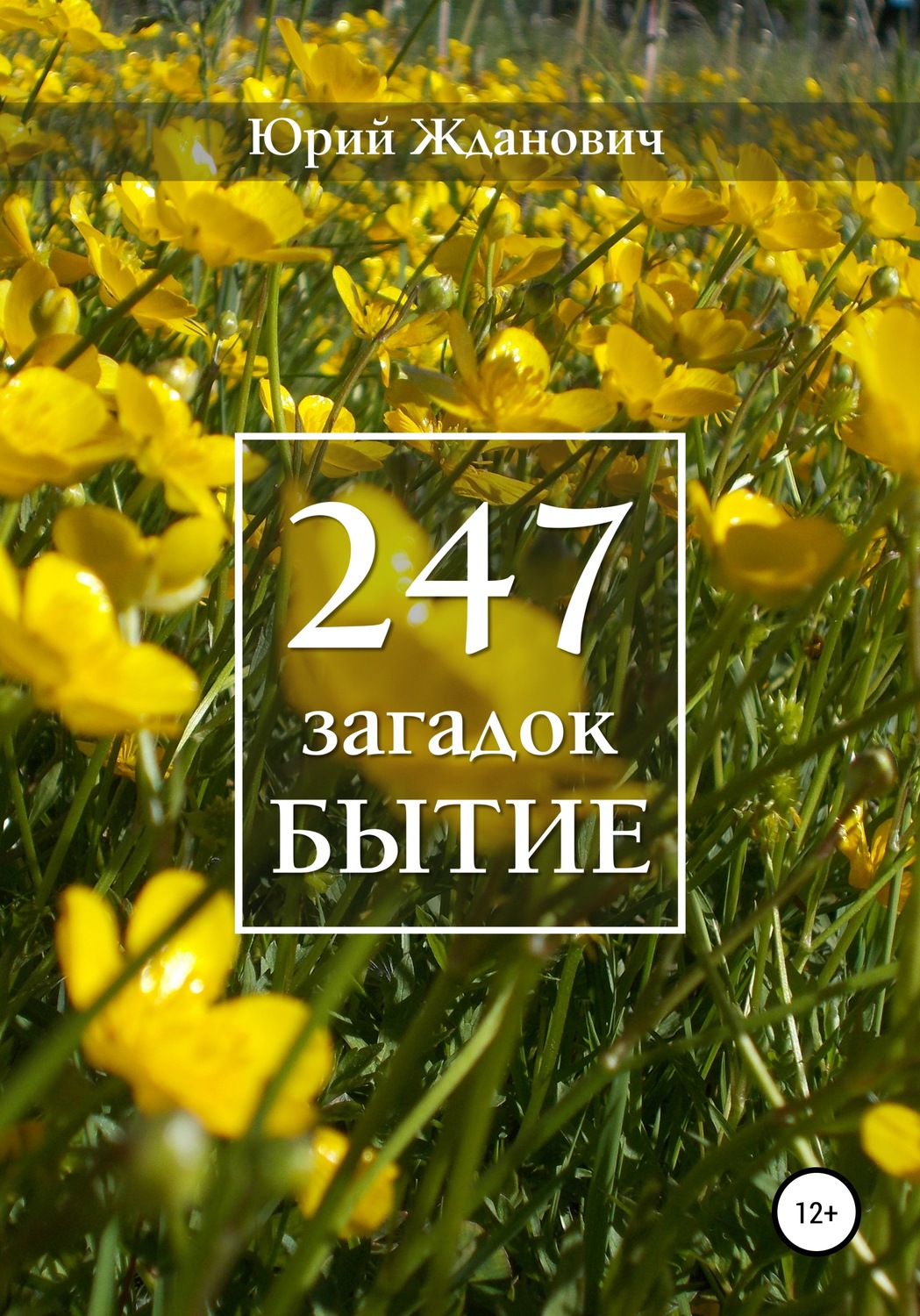 Обложка книги «247 загадок. Бытие»