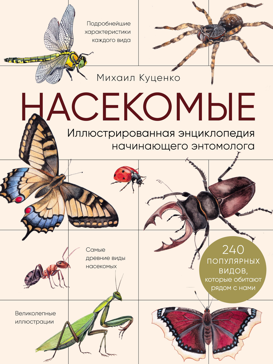 Обложка книги «Насекомые. Иллюстрированная энциклопедия начинающего энтомолога (240 популярных видов, которые обитают рядом с нами)»