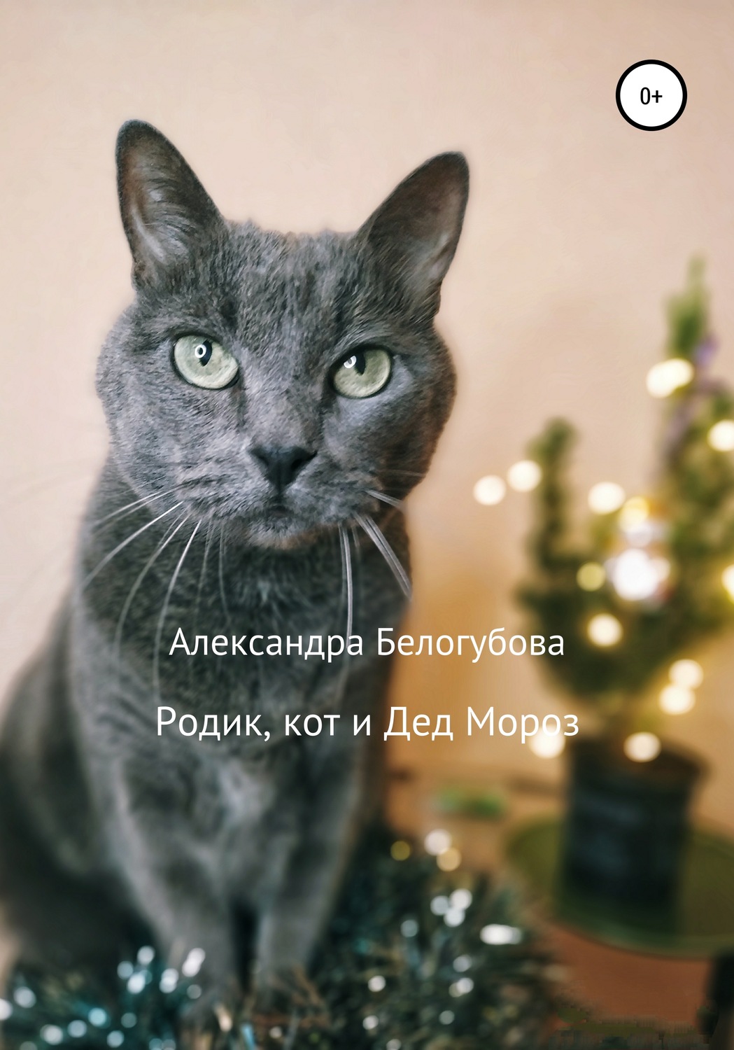 Обложка книги «Родик, кот и Дед Мороз»