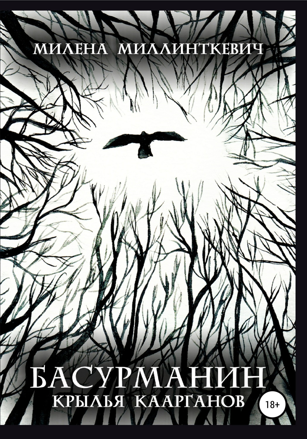 Обложка книги «Басурманин. Крылья каарганов»