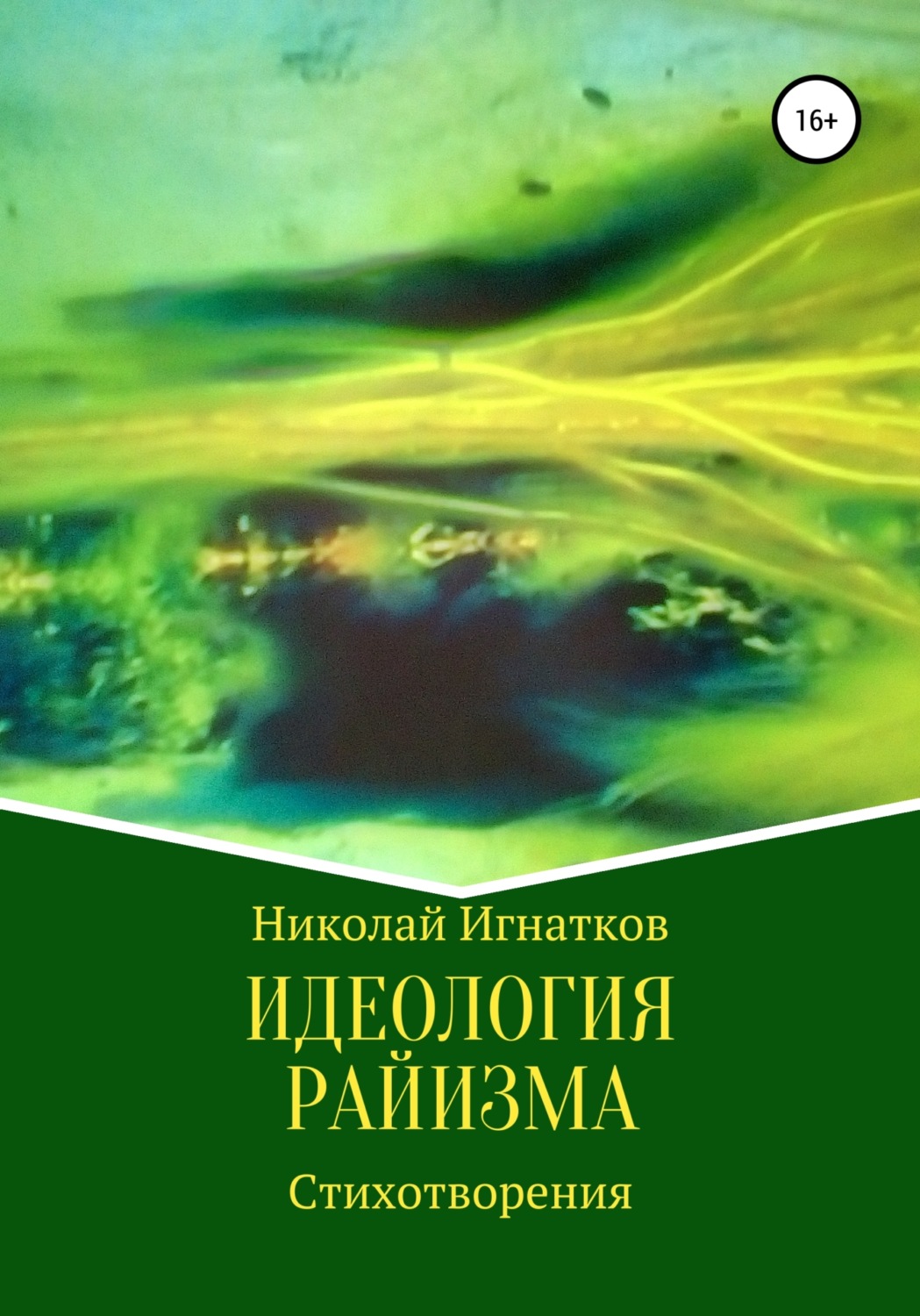 Обложка книги «Идеология райизма»