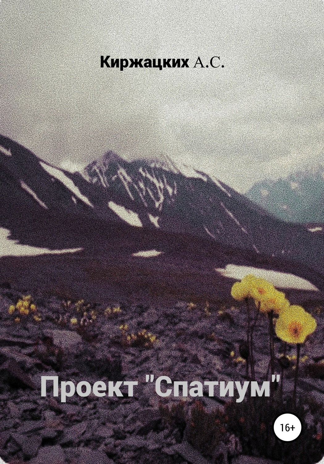 Обложка книги «Проект «Спатиум»»