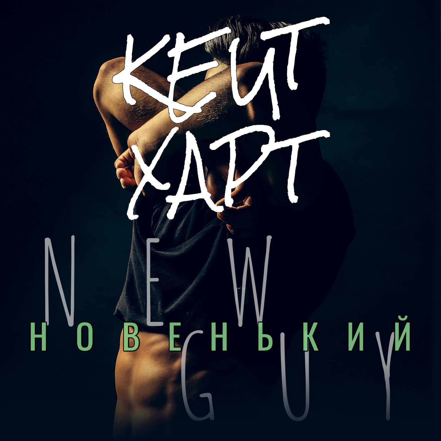 Обложка книги «Новенький»
