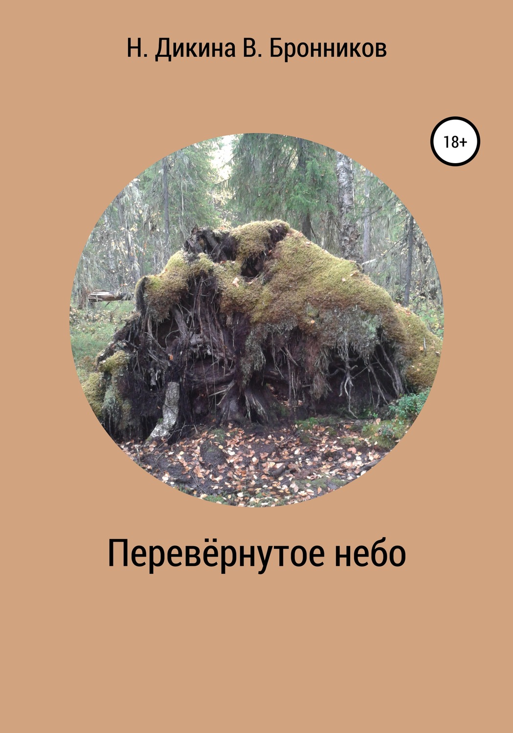Обложка книги «Перевернутое небо»