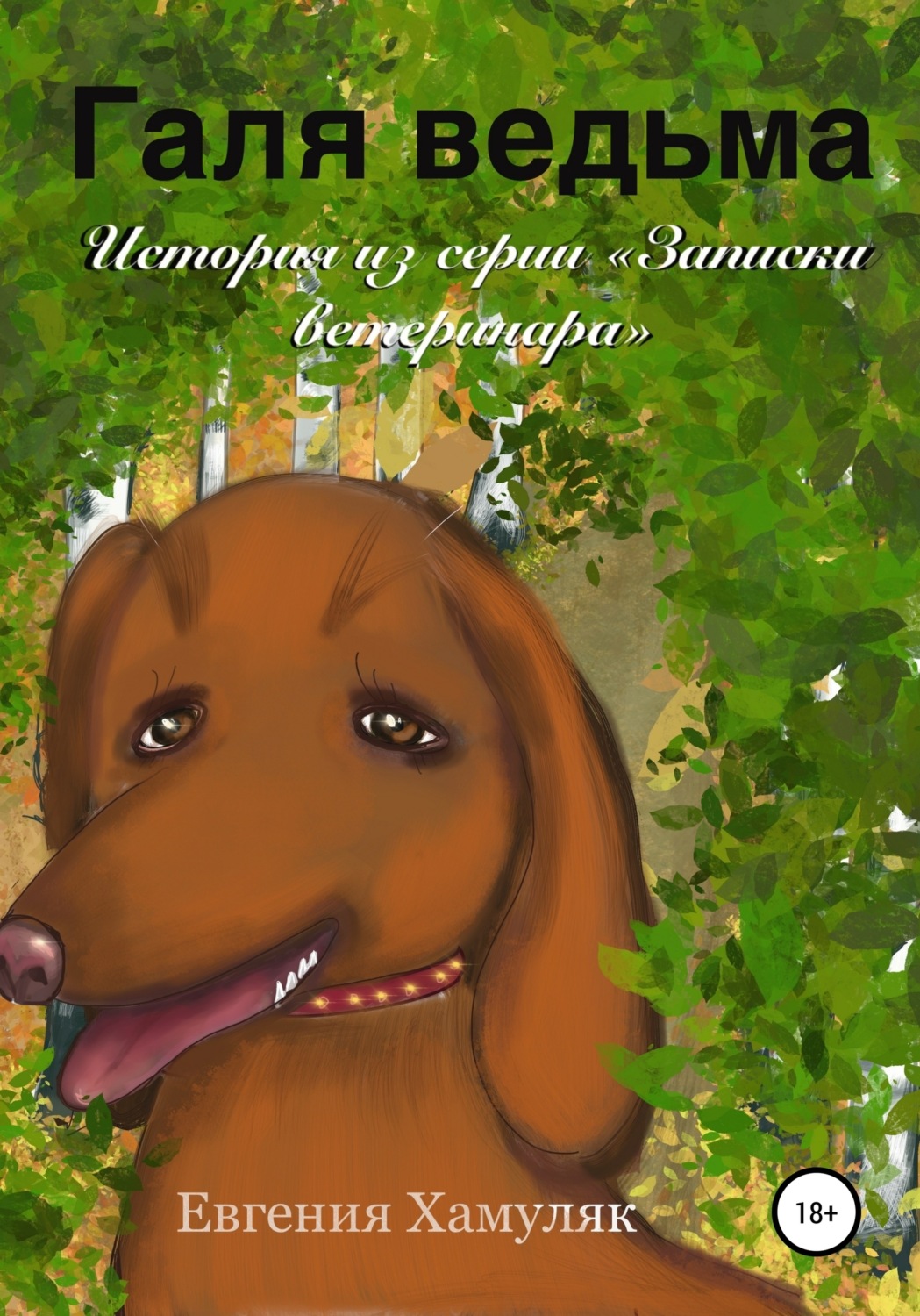 Обложка книги «Галя ведьма»